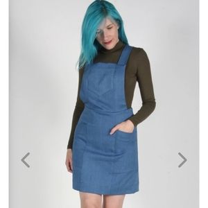 Birds of North America Harrier Tunic